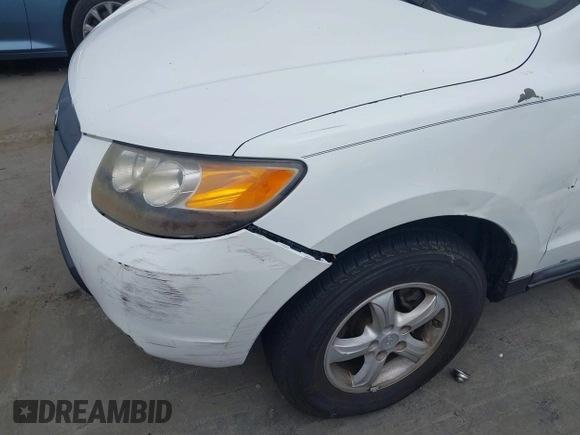 2007 Hyundai Santa Fe GLS z VIN 5NMSG13D27H013237, wystawiony jako IAAI lot #41911664 z przebiegiem 293 862 mil mil oraz . Historia ofert i sprzedaży dostępna na DreamBid. Obrazek 6.