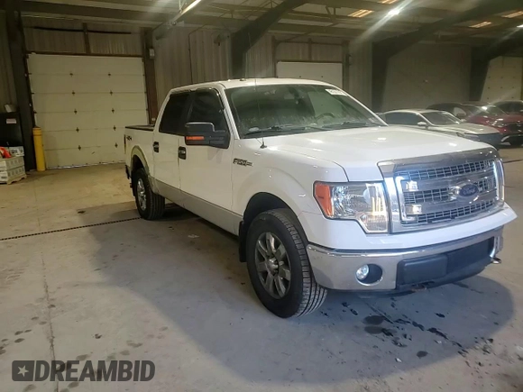 2013 Ford F-150 XL with VIN 1FTFW1EF8DKF24695, listed as a Copart auction lot 48121735 with 157,303 mi miles and Salvage Title. Bid and sale history available at carsss.com. Image 10.