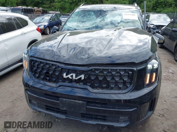 2024 Kia Telluride SX Prestige X-Pro with VIN 5XYP5DGC8RG520090, listed as a IAAI auction lot 42391085 with 9,513 mi miles and . Bid and sale history available at DreamBid. Image 6.