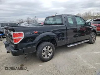 2013 Ford F-150 XL with VIN 1FTEX1CM9DFC18477, listed as a Copart auction lot 49625425 with 121,136 mi miles and Salvage Title. Bid and sale history available at carsss.com. Image 3.