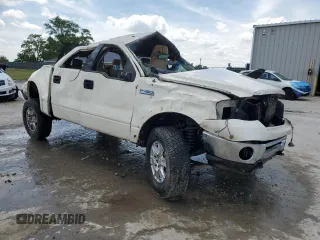 2008 Ford F-150 XLT with VIN 1FTPW14V28FA77633, listed as a Copart auction lot 56038375 with Not provided miles and Non repairable. Bid and sale history available at DreamBid. Image 4.