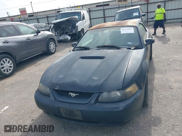 2000 Ford Mustang GT with VIN 1FAFP42X1YF196276, listed as a IAAI auction lot 42255961 with Not Provided miles and . Bid and sale history available at DreamBid. Image 6.