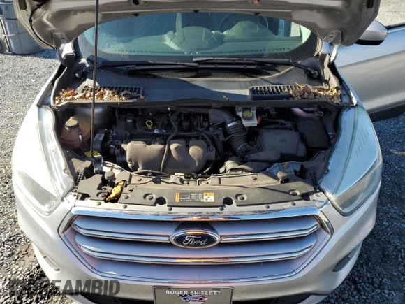 2017 Ford Escape SE with VIN 1FMCU0G91HUD67107, listed as a Copart auction lot 48711385 with 200,150 mi miles and Salvage Title. Bid and sale history available at carsss.com. Image 14.