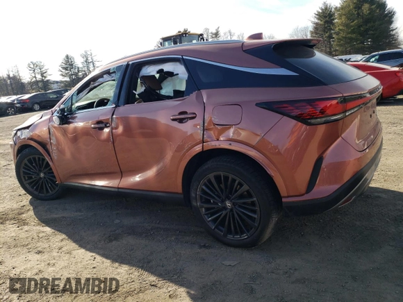 2025 Lexus RX 350 with VIN 2T2BAMCA0SC089803, listed as a Copart auction lot 46683815 with 1,629 mi miles and Salvage Title. Bid and sale history available at DreamBid. Image 2.