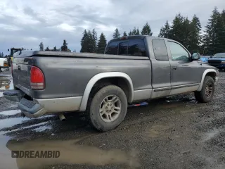 2003 Dodge Dakota SLT with VIN 1D7HL42X33S328572, listed as a Copart auction lot 43112125 with 0 mi miles and Salvage Title. Bid and sale history available at carsss.com. Image 3.