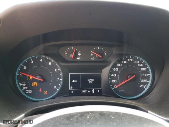 2019 Chevrolet Equinox LS with VIN 2GNAXSEV0K6121192, listed as a Copart auction lot 60967374 with 125,337 mi miles and Salvage Title. Bid and sale history available at carsss.com. Image 9.