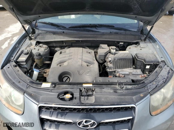 2009 Hyundai Santa Fe SE with VIN 5NMSH13E79H257104, listed as a Copart auction lot 49832285 with 185,504 mi miles and Clean Title. Bid and sale history available at carsss.com. Image 12.