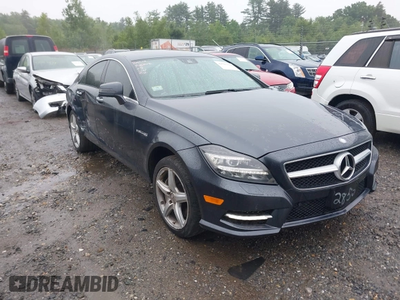 2014 Mercedes-Benz CLS 550 with VIN WDDLJ9BB6EA122852, listed as a IAAI auction lot 42503119 with 161,840 mi miles and . Bid and sale history available at DreamBid. Image 13.