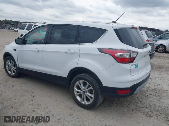 2017 Ford Escape SE with VIN 1FMCU0GD2HUB03804, listed as a IAAI auction lot 41842496 with 197,373 mi miles. Bid and sale history available at carsss.com. Image 3.