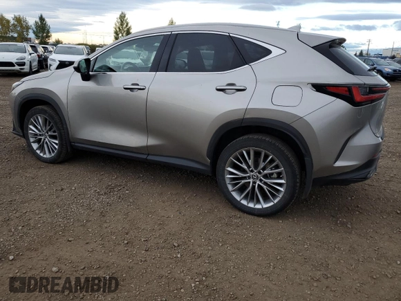 2022 Lexus NX with VIN 2T2GKCEZ0NC008934, listed as a Copart auction lot 73789294 with 50,370 mi miles and Clean Title. Bid and sale history available at carsss.com. Image 2.