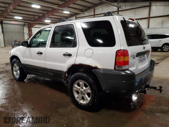 2006 Ford Escape XLT with VIN 1FMYU03Z76KC14011, listed as a Copart auction lot 79539204 with 239,785 mi miles and Clean Title. Bid and sale history available at carsss.com. Image 2.