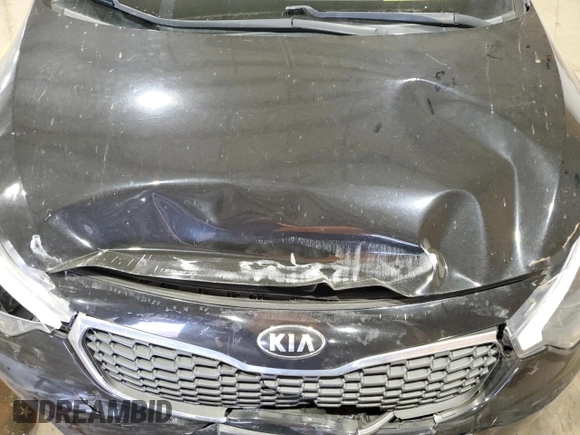 2016 Kia Forte LX with VIN KNAFK4A60G5501379, listed as a Copart auction lot 49219955 with 85,274 mi miles and Salvage Title. Bid and sale history available at carsss.com. Image 11.