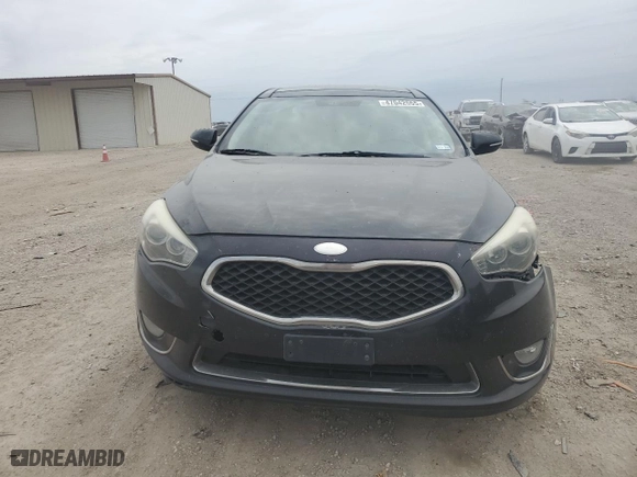 2014 Kia Cadenza Premium with VIN KNALN4D75E5120526, listed as a Copart auction lot 47042555 with 132,230 mi miles and Salvage Title. Bid and sale history available at carsss.com. Image 5.