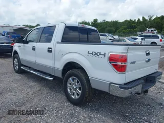 2013 Ford F-150 XL with VIN 1FTFW1EF8DFC39553, listed as a IAAI auction lot 42324628 with Not provided miles and . Bid and sale history available at DreamBid. Image 3.