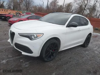 2021 Alfa Romeo Stelvio Ti with VIN ZASPAKBNXM7D15764, listed as a IAAI auction lot 41502764 with 48,714 mi miles. Bid and sale history available at carsss.com. Image 18.