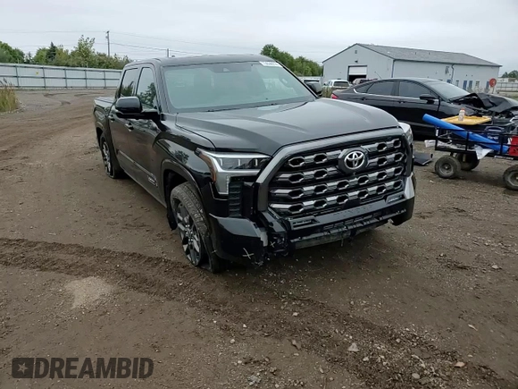2022 Toyota Tundra Platinum with VIN 5TFNA5DB9NX028910, listed as a Copart auction lot 73638914 with 25,404 mi miles and Salvage title. Bid and sale history available at DreamBid. Image 11.