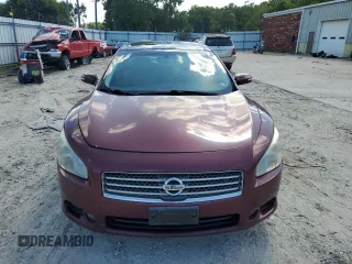 2009 Nissan Maxima SV with VIN 1N4AA51E69C820089, listed as a Copart auction lot 66046043 with 243,382 mi miles and Non Repairable. Bid and sale history available at DreamBid. Image 5.