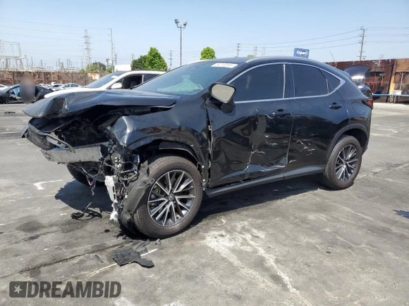 2024 Lexus NX 250 with VIN 2T2ADCAZ9RC012170, listed as a Copart auction lot 54069385 with 19,400 mi miles and Salvage title. Bid and sale history available at DreamBid. Image 1.