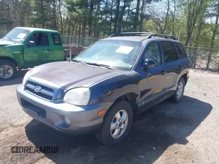 2005 Hyundai Santa Fe GLS with VIN KM8SC73D35U926492, listed as a IAAI auction lot 42131446 with 177,553 mi miles. Bid and sale history available at carsss.com. Image 6.