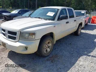 2009 Dodge Dakota with VIN 1D3HW38PX9S789626, listed as a IAAI auction lot 42693162 with 175,620 mi miles and . Bid and sale history available at DreamBid. Image 6.