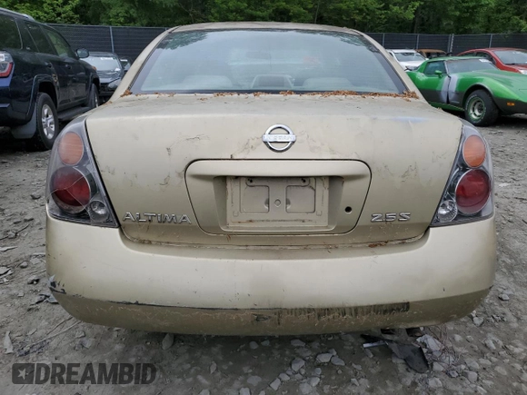2002 Nissan Altima S with VIN 1N4AL11D52C189643, listed as a Copart auction lot 55979065 with Not provided miles and Salvage title. Bid and sale history available at DreamBid. Image 6.