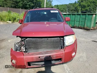 2010 Ford Escape Limited with VIN 1FMCU9EG0AKA79585, listed as a Copart auction lot 61580715 with Not provided miles and Salvage title. Bid and sale history available at DreamBid. Image 5.