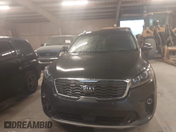 2019 Kia Sorento EX Sport V6 with VIN 5XYPH4A54KG493932, listed as a IAAI auction lot 41923939 with 119,427 mi miles. Bid and sale history available at carsss.com. Image 12.