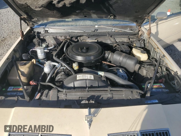 1979 Oldsmobile Cutlass with VIN 3M47P9G419256, listed as a Copart auction lot 80052304 with 86,268 mi miles and Salvage Title. Bid and sale history available at DreamBid. Image 11.