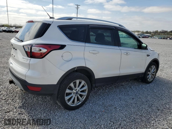 2017 Ford Escape Titanium with VIN 1FMCU0J92HUD75757, listed as a Copart auction lot 51003895 with 119,143 mi miles and Salvage Title. Bid and sale history available at DreamBid. Image 3.
