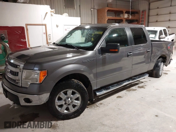 2014 Ford F-150 XL with VIN 1FTFW1EF5EFB71651, listed as a IAAI auction lot 42051456 with 143,945 mi miles and . Bid and sale history available at DreamBid. Image 2.