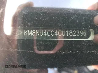 2012 Hyundai Veracruz Limited with VIN KM8NU4CC4CU182396, listed as a Copart auction lot 48029895 with Not Provided miles and Salvage Title. Bid and sale history available at DreamBid. Image 13.