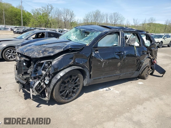 2022 Kia Telluride EX with VIN 5XYP3DHC3NG228264, listed as a Copart auction lot 55439255 with 51,117 mi miles and Salvage title. Bid and sale history available at DreamBid. Image 1.