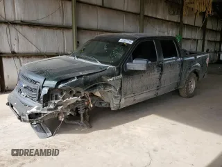 2014 Ford F-150 XL with VIN 1FTFW1EF8EKG36320, listed as a Copart auction lot 57687255 with 166,843 mi miles and Salvage title. Bid and sale history available at DreamBid. Image 1.