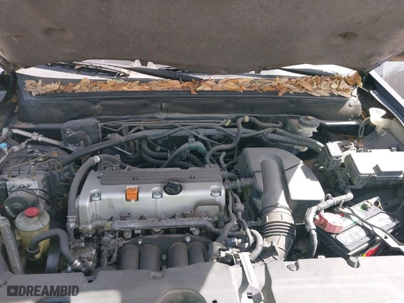 2005 Honda CR-V LX with VIN JHLRD68565C010765, listed as a IAAI auction lot 41843854 with 248,201 mi miles. Bid and sale history available at carsss.com. Image 10.