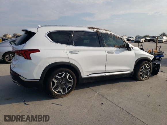 2022 Hyundai Santa Fe Limited with VIN 5NMS44AL5NH375192, listed as a Copart auction lot 47259555 with 61,009 mi miles and Non Repairable. Bid and sale history available at carsss.com. Image 3.