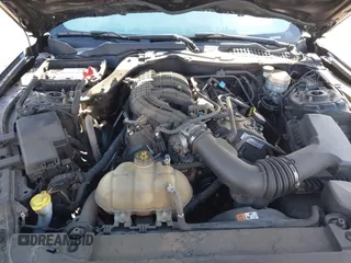 2017 Ford Mustang V6 with VIN 1FA6P8AM0H5272817, listed as a IAAI auction lot 41938576 with Not provided miles and . Bid and sale history available at DreamBid. Image 10.