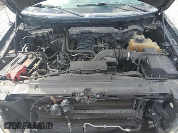 2013 Ford F-150 XL with VIN 1FTMF1CF8DKD40156, listed as a Copart auction lot 50408735 with 120,437 mi miles and Salvage title. Bid and sale history available at DreamBid. Image 11.