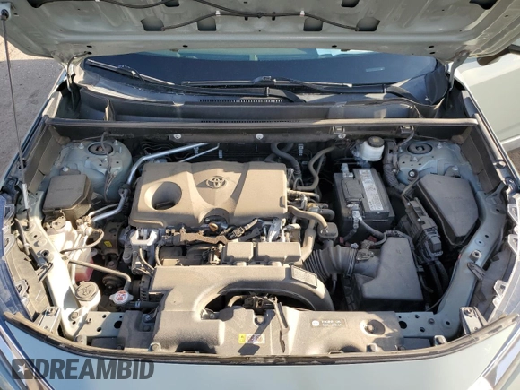 2019 Toyota RAV4 XLE with VIN 2T3P1RFV2KW020266, listed as a Copart auction lot 52183905 with 64,540 mi miles and Salvage title. Bid and sale history available at DreamBid. Image 12.