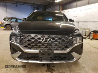 2021 Hyundai Santa Fe Calligraphy with VIN 5NMS5DAL5MH323833, listed as a Copart auction lot 41337795 with 54,484 mi miles and Salvage title. Bid and sale history available at DreamBid. Image 5.