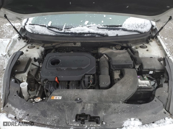 2015 Hyundai Sonata 2.4L SE with VIN 5NPE24AF7FH215283, listed as a Copart auction lot 82815724 with 134,658 mi miles and Salvage Title. Bid and sale history available at carsss.com. Image 11.