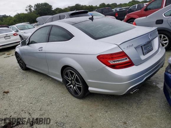 2013 Mercedes-Benz C C 350 with VIN WDDGJ5HB0DF959342, listed as a Copart auction lot 74553684 with Not Provided miles and Salvage Title. Bid and sale history available at carsss.com. Image 2.