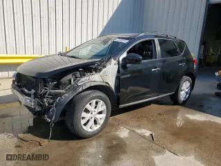 2013 Nissan Murano LE with VIN JN8AZ1MU5DW204118, listed as a Copart auction lot 52980685 with 123,730 mi miles and Salvage Title. Bid and sale history available at carsss.com. Image 1.