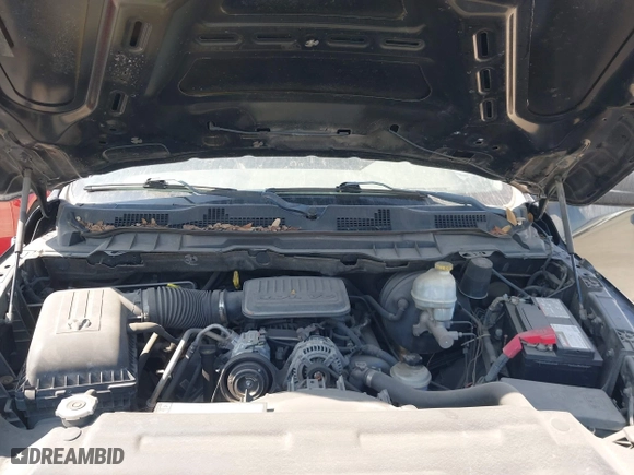 2010 Dodge Ram 1500 ST with VIN 1D7RB1GK3AS248270, listed as a IAAI auction lot 41867765 with 133,542 mi miles. Bid and sale history available at carsss.com. Image 10.