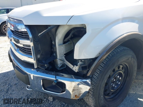 2015 Ford F-150 XLT with VIN 1FTEW1EG9FFB56141, listed as a IAAI auction lot 41643423 with 194,067 mi miles and . Bid and sale history available at DreamBid. Image 6.