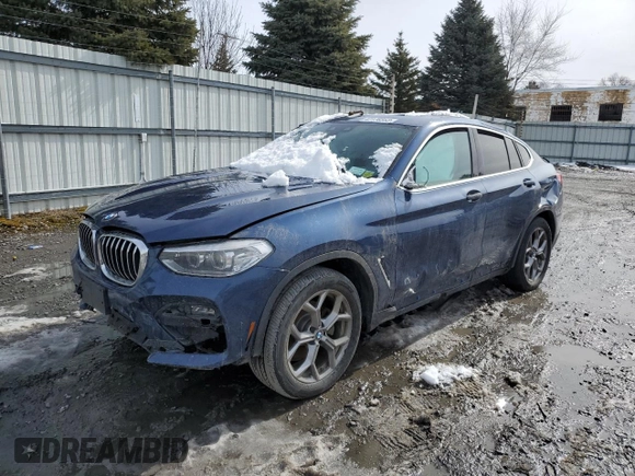 2020 BMW X4 xDrive30i with VIN 5UX2V1C02LLZ32858, listed as a Copart auction lot 42176563 with 0 mi miles. Bid and sale history available at carsss.com. Image 1.