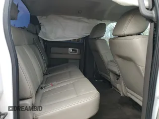 2009 Ford F-150 XL z VIN 1FTPW14V89FB04772, wystawiony jako Copart lot #48988685 z przebiegiem 259 521 mil mil oraz Szkoda całkowita • Salvage title. Historia ofert i sprzedaży dostępna na DreamBid. Obrazek 10.