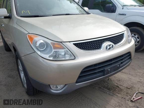 2008 Hyundai Veracruz GLS with VIN KM8NU73C88U032381, listed as a IAAI auction lot 42112303 with 210,160 mi miles and . Bid and sale history available at DreamBid. Image 6.