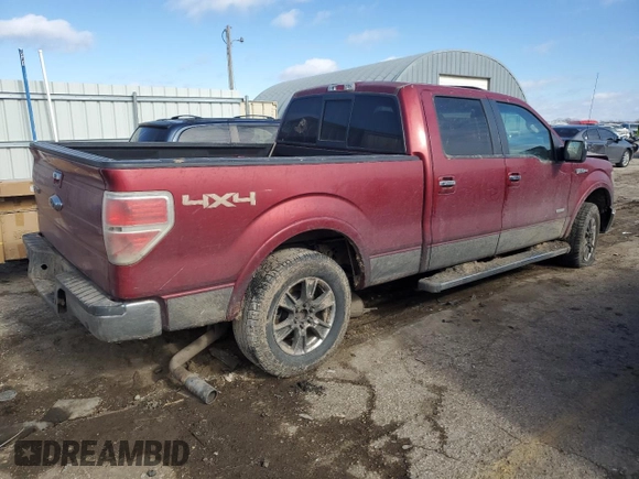 2013 Ford F-150 XL with VIN 1FTFW1ETXDKD42518, listed as a Copart auction lot 42026785 with Not provided miles and Salvage title. Bid and sale history available at DreamBid. Image 3.
