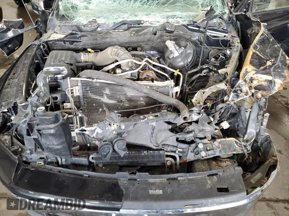 2009 Dodge 1500 Sport с VIN 1D3HV18T09S702305, выставлен на аукционе Copart как лот 70002034 с пробегом Не указан миль и Списание • Salvage title. История ставок и продаж доступна на DreamBid. Изображение 11.