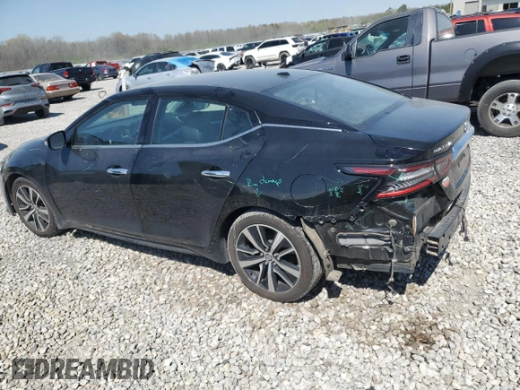 2021 Nissan Maxima SV with VIN 1N4AA6CV3MC514737, listed as a Copart auction lot 49444635 with 84,548 mi miles and Salvage title. Bid and sale history available at DreamBid. Image 2.